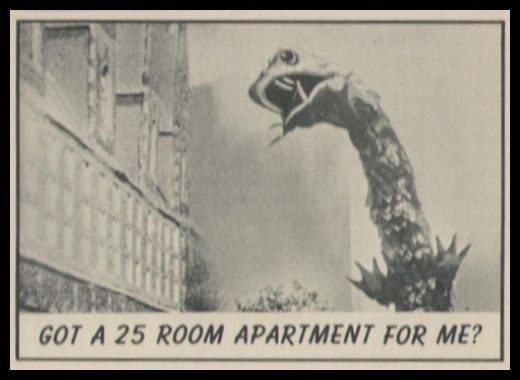 61 Got A 25 Room Apartment For Rent